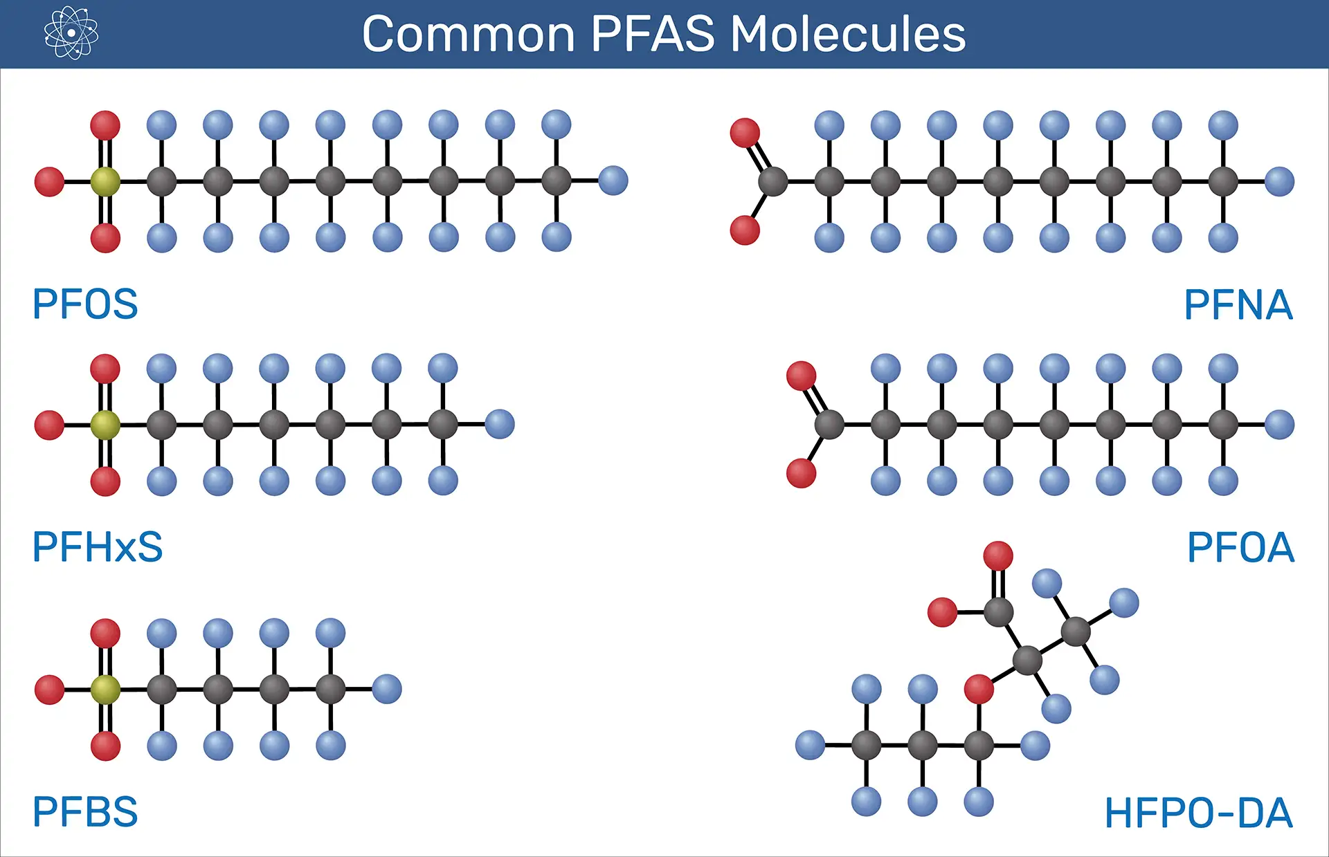 PFAS molecola